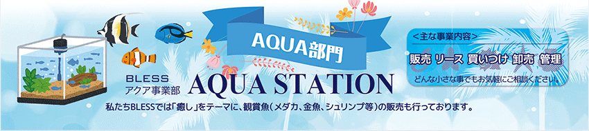 AQUA部門