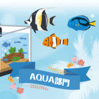 AQUA部門